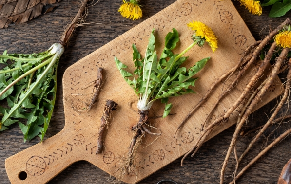 Dandelion, Herb, Dandelion Root, Natural Remedies, Whole Food Nutrition
